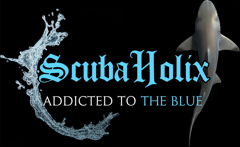 Scubaholix Logo